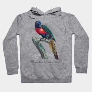 Rainbow Lorikeet / Perruche A Tete Bleue, Male - Jacques Barraband 19th century Illustration Hoodie